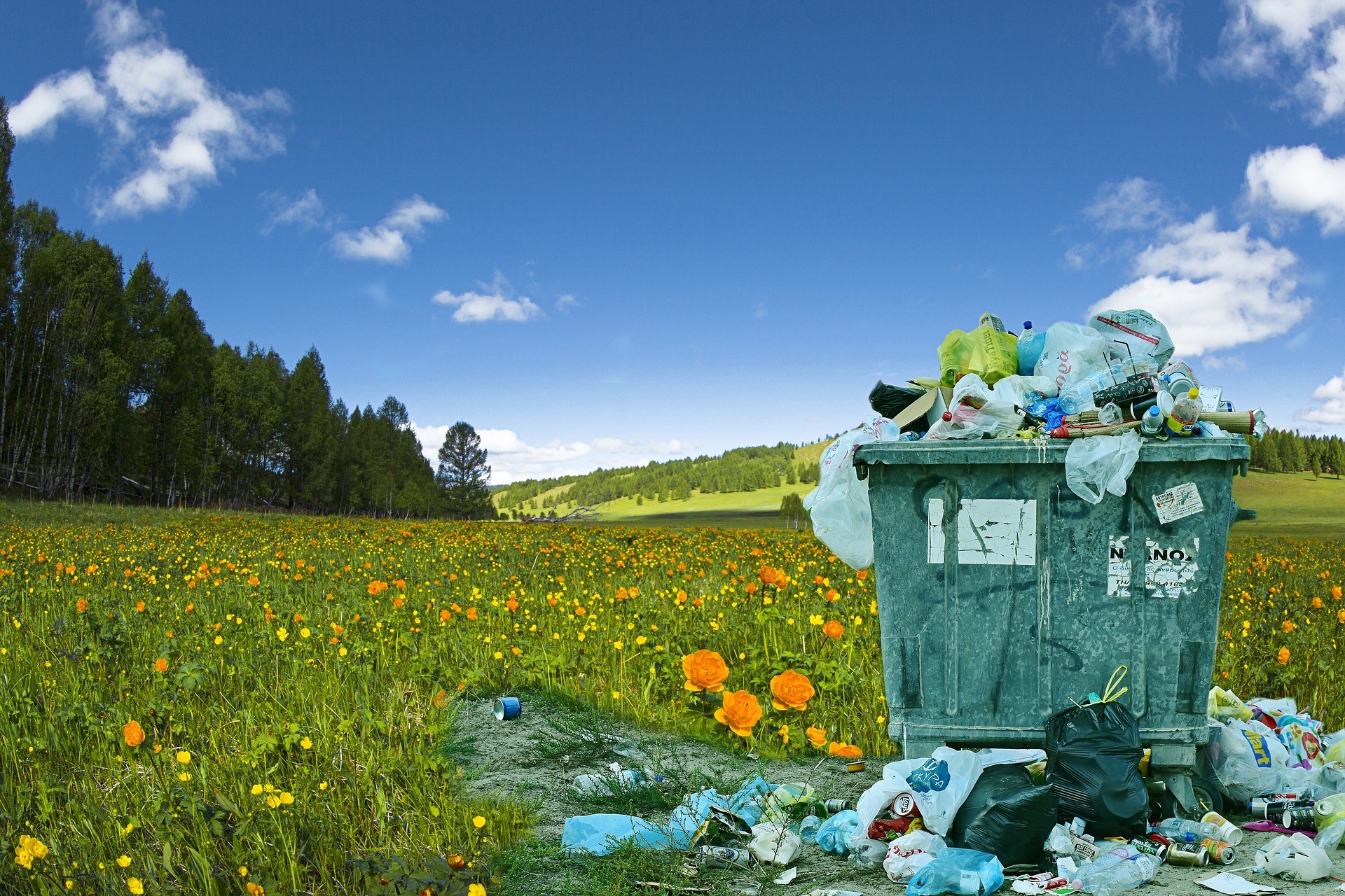 L’abbandono di rifiuti dopo le modifiche all’art. 255 del Codice dell’Ambiente.